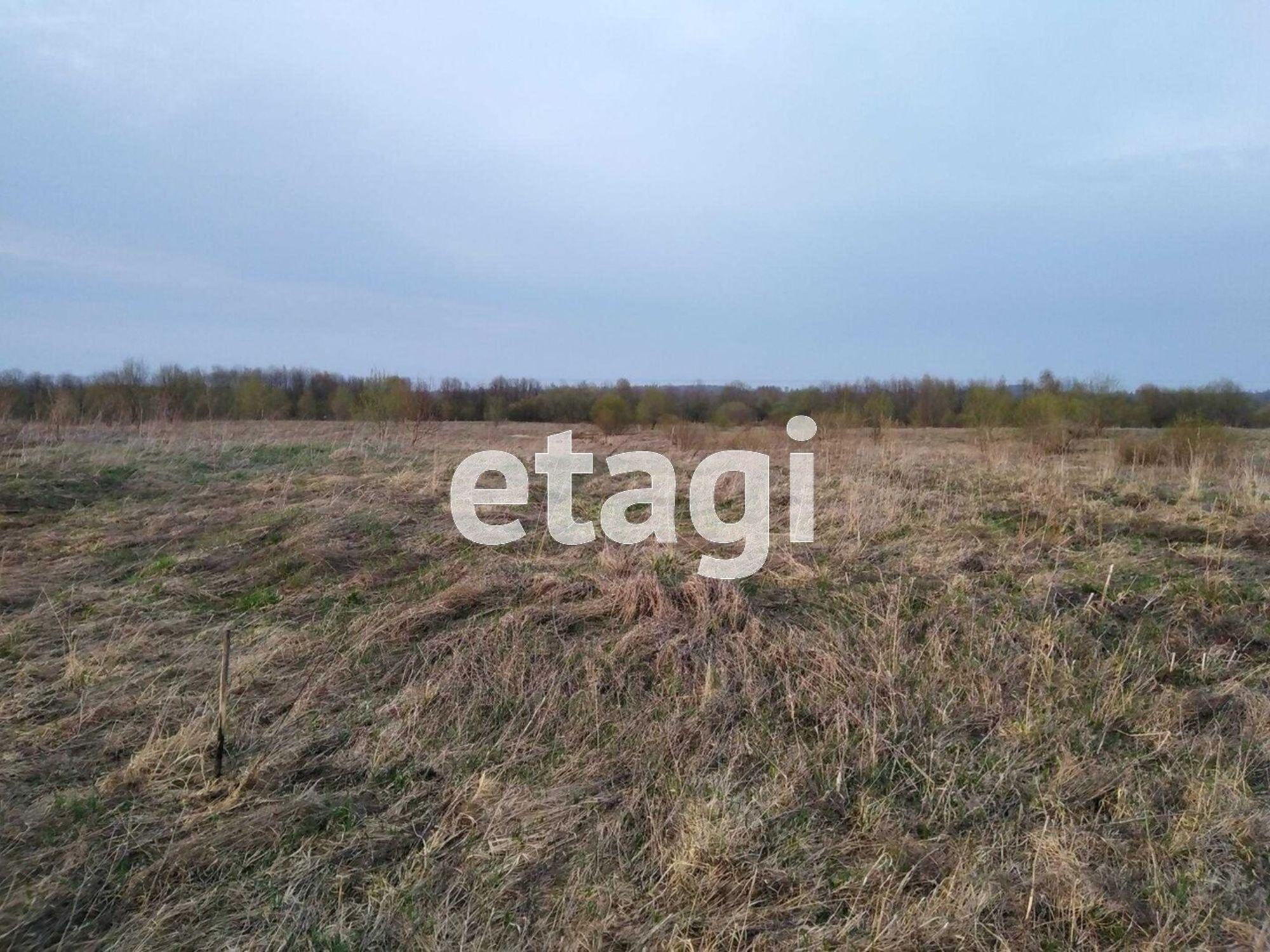 Купить землю, земельный участок за 180 000 рублей на деревня Курово
