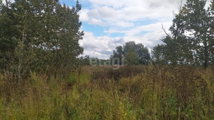 Земельный участок село Остахово