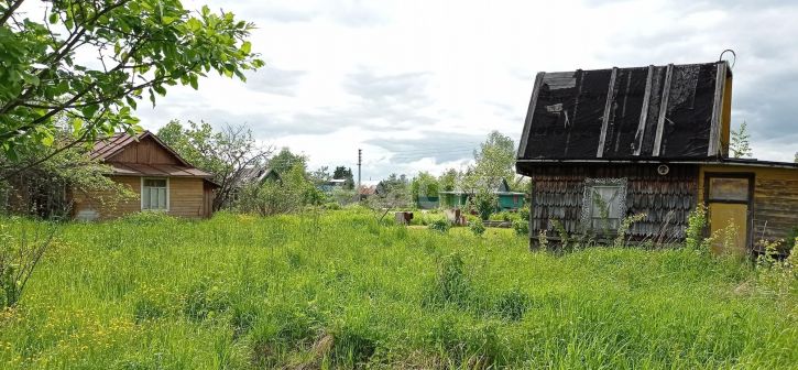 Земельный участок садоводческое товарищество Колос