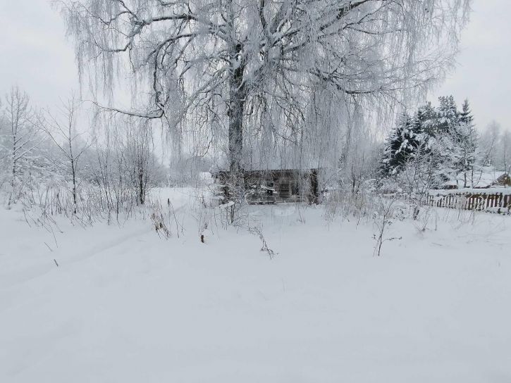 Земельный участок деревня Полтинино