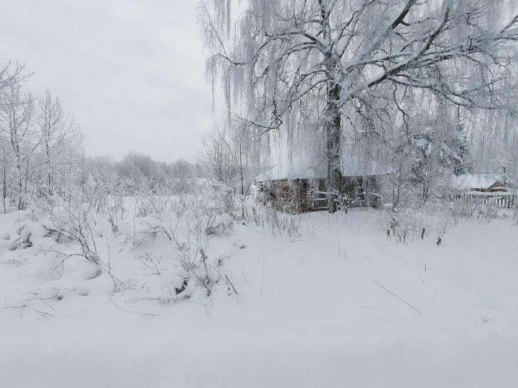 Земельный участок деревня Полтинино
