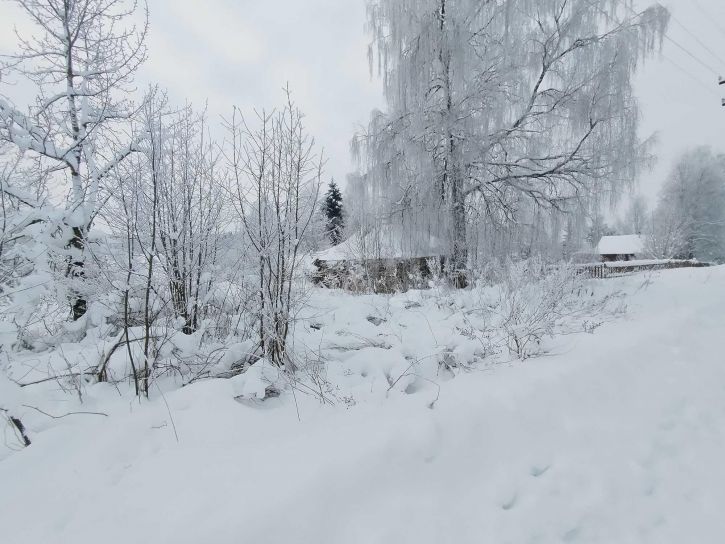 Земельный участок деревня Полтинино