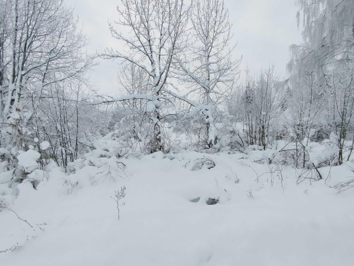 Земельный участок деревня Полтинино