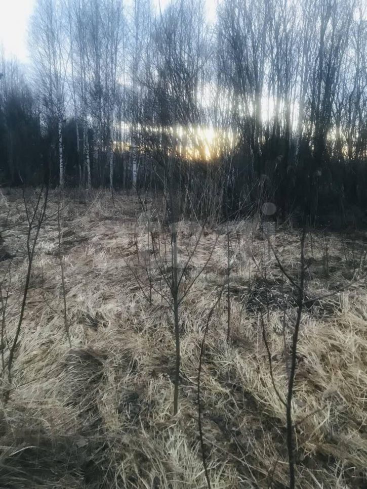 Земельный участок садоводческое товарищество Меркурий