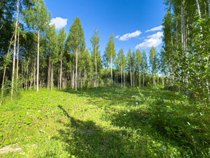 Земельный участок деревня Колбино (Кубенский сельсовет)