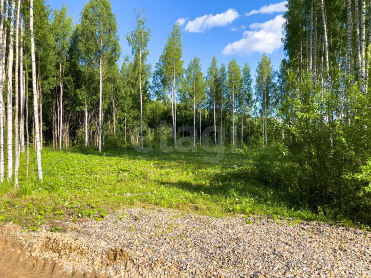 Земельный участок деревня Колбино (Кубенский сельсовет)