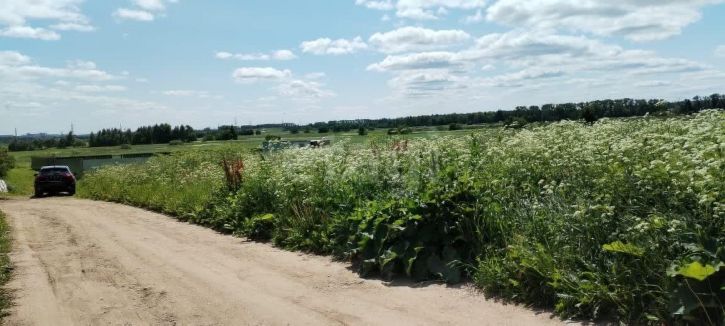 Земельный участок деревня Дмитриево
