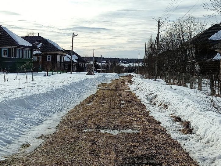 Коттедж/дом деревня Петряево
