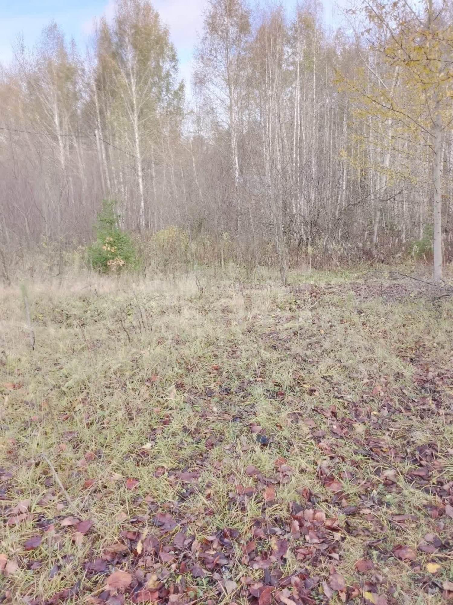 Купить землю, земельный участок за 250 000 рублей на деревня Окишево