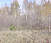 земля 15 сот деревня Окишево