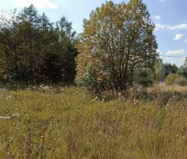 земля 14 сот посёлок Сосновка