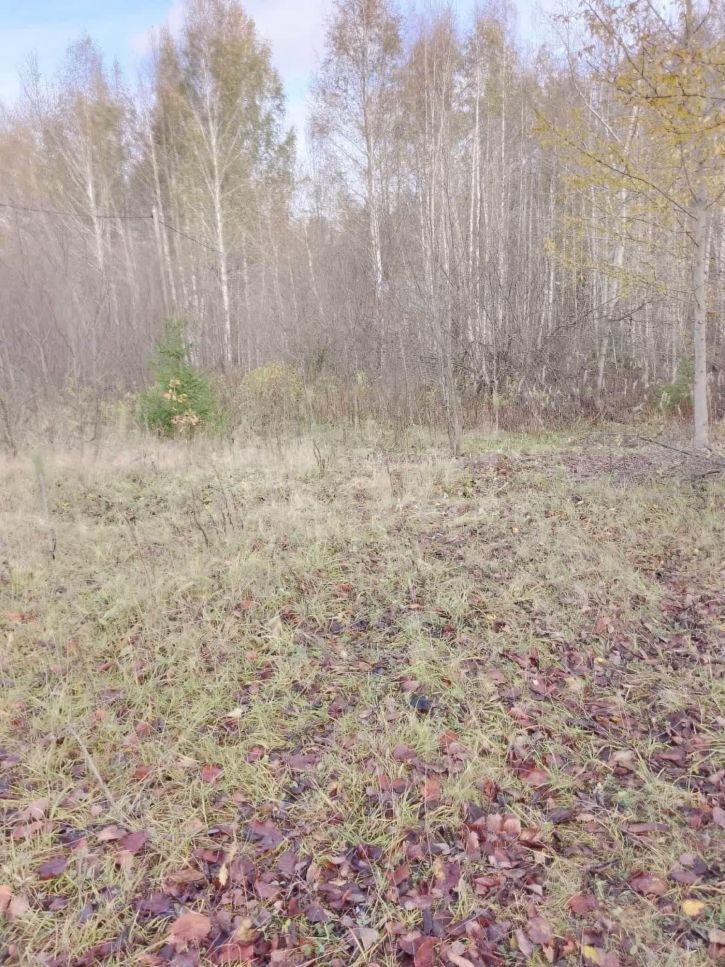 Земельный участок деревня Окишево