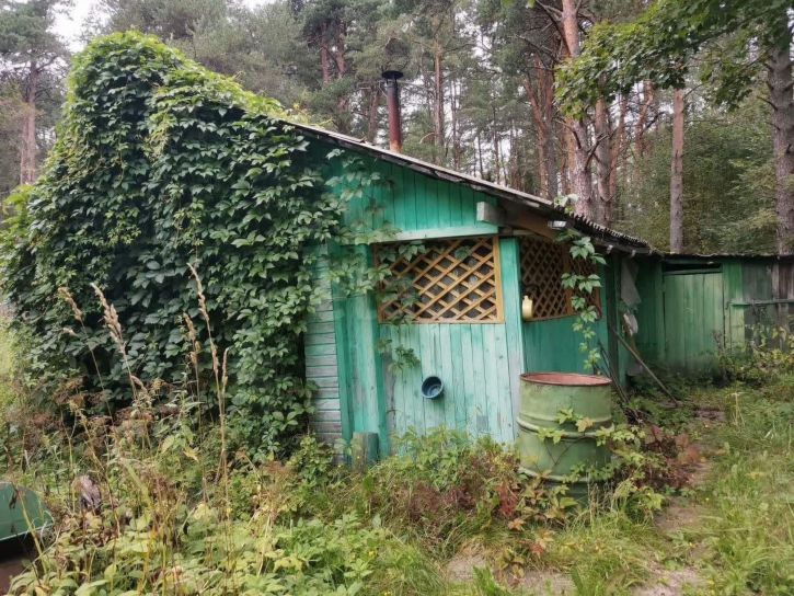 Коттедж/дом посёлок Маслозавод (Несвойский сельсовет)