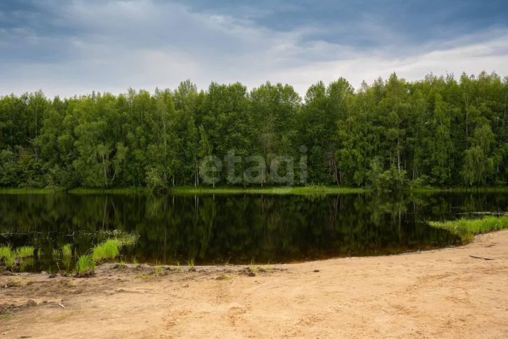Земельный участок деревня Шачино