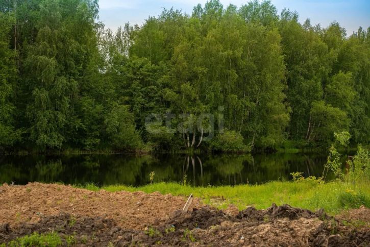 Земельный участок деревня Шачино