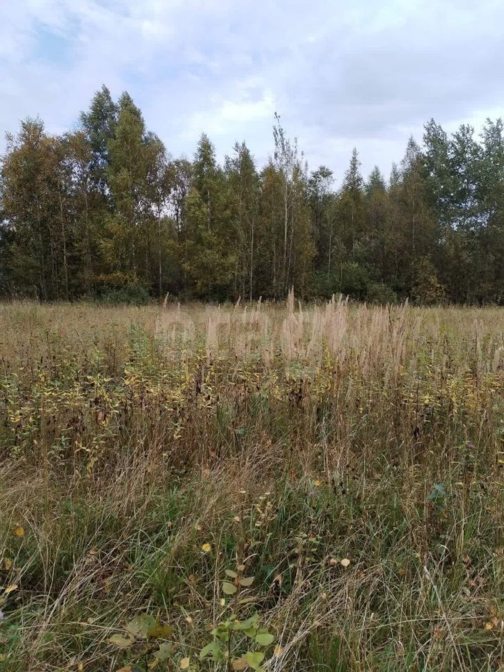 Земельный участок садоводческое товарищество Акация