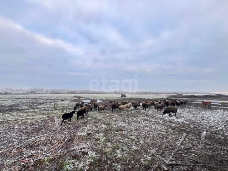 Земельный участок посёлок Дубровское