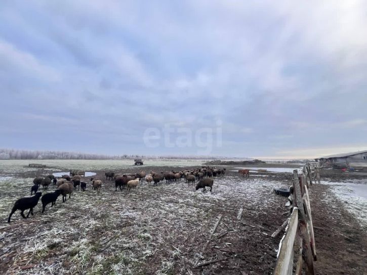 Земельный участок посёлок Дубровское