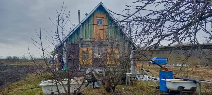Коттедж/дом посёлок Васильевское