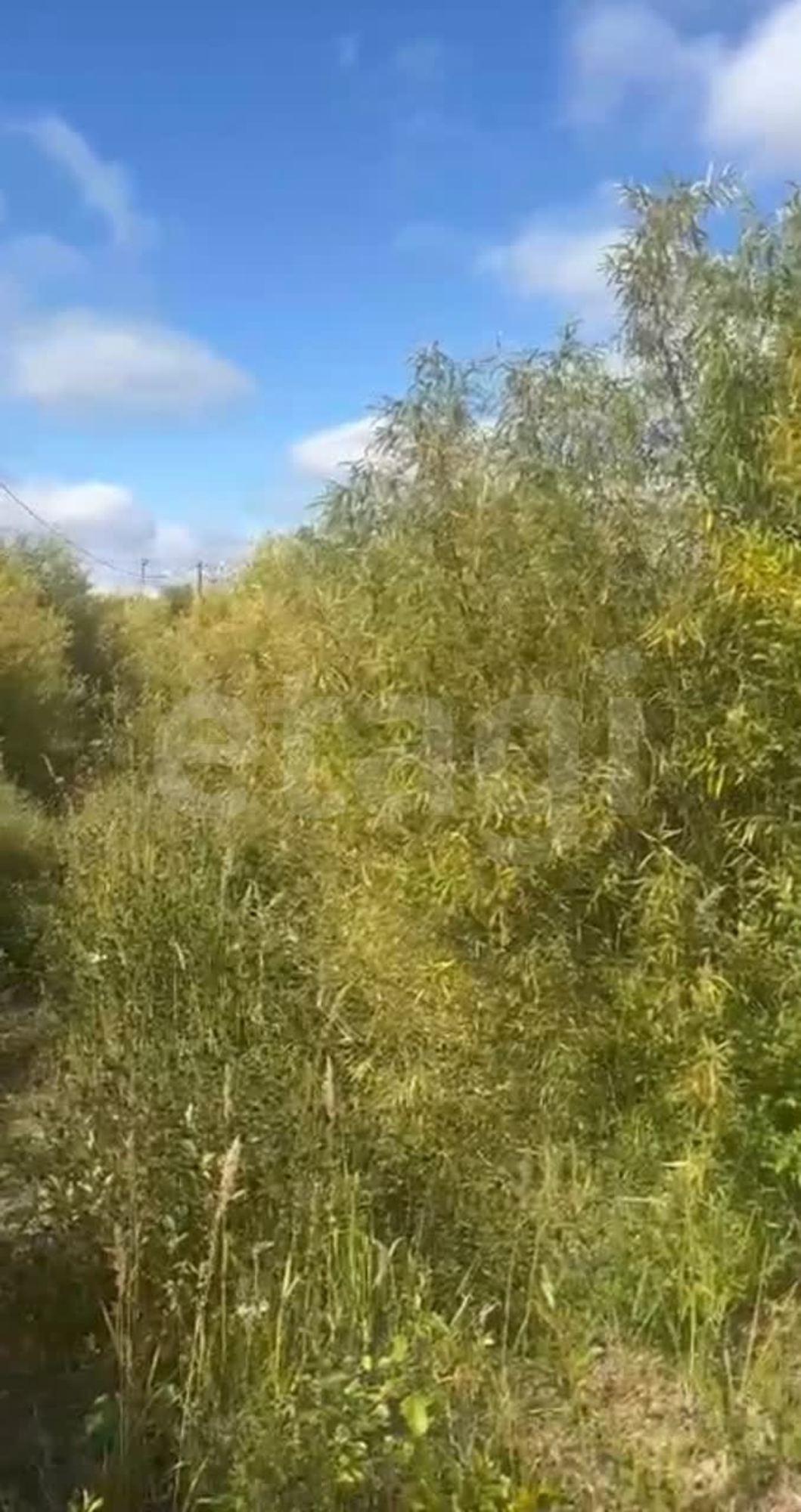 Купить землю, земельный участок за 450 000 рублей на село Устье