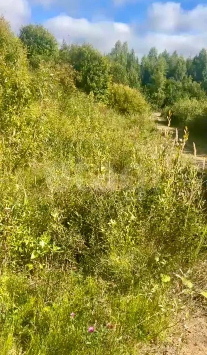 Земельный участок село Устье