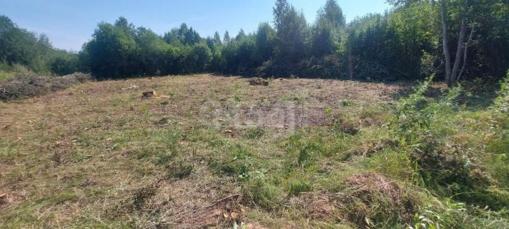 Земельный участок садоводческое товарищество Агрохимик