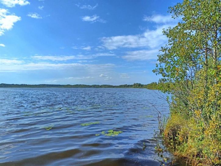 Земельный участок Гора Васильевского сельсовета