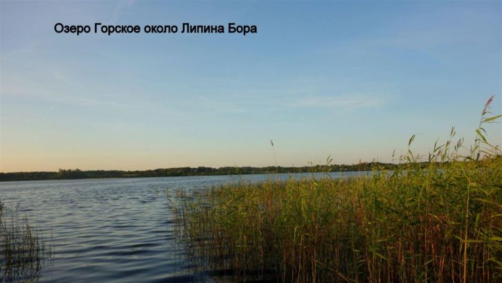 Земельный участок Гора Васильевского сельсовета