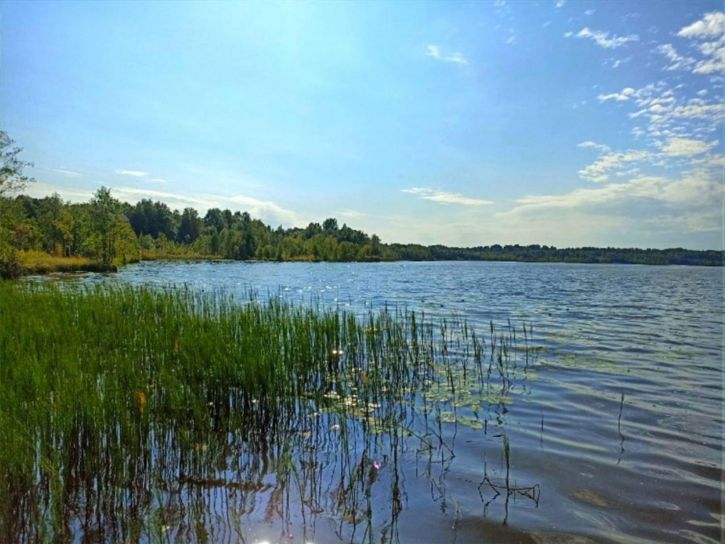 Земельный участок Гора Васильевского сельсовета