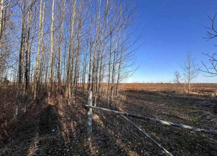 Земельный участок садоводческое товарищество Пригородное