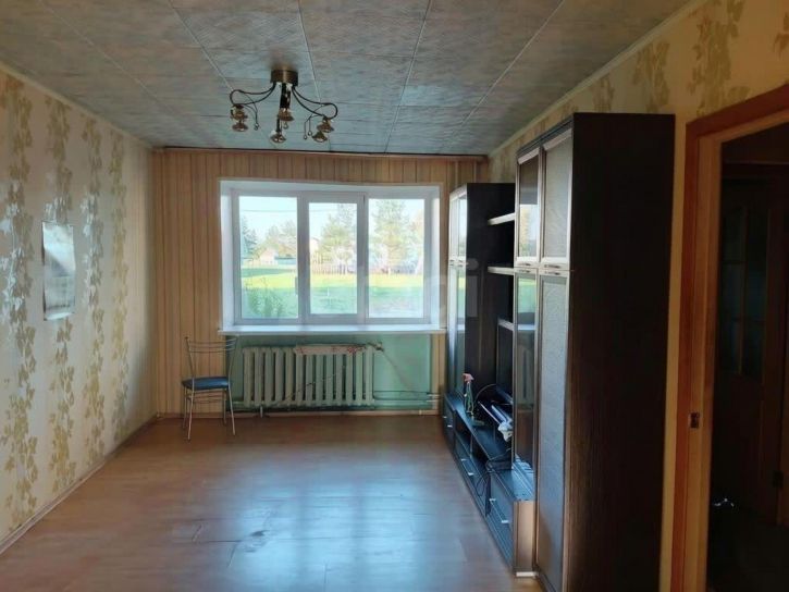2-комн квартира деревня Литега, 24