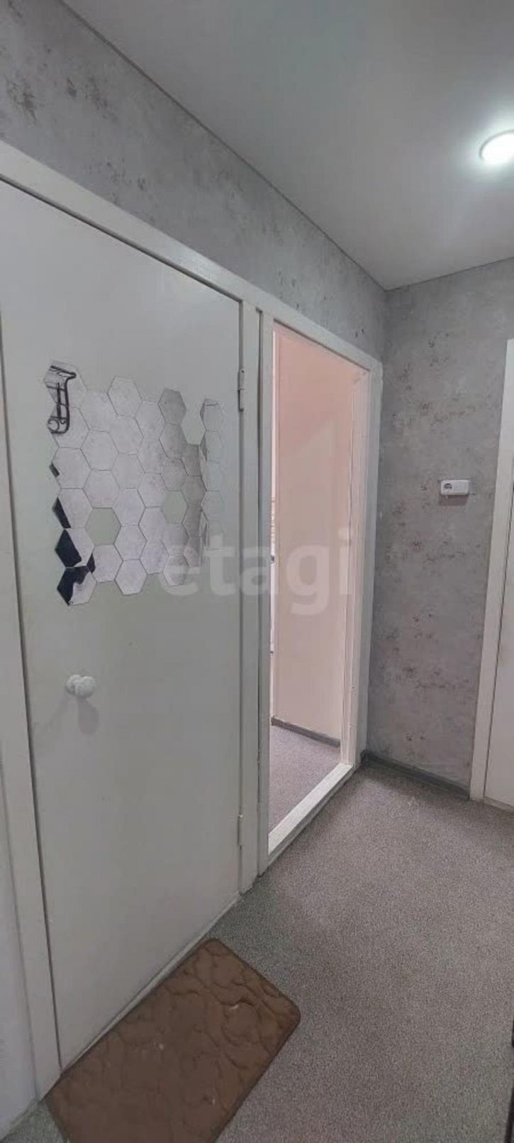 1-комн квартира деревня Литега, 52