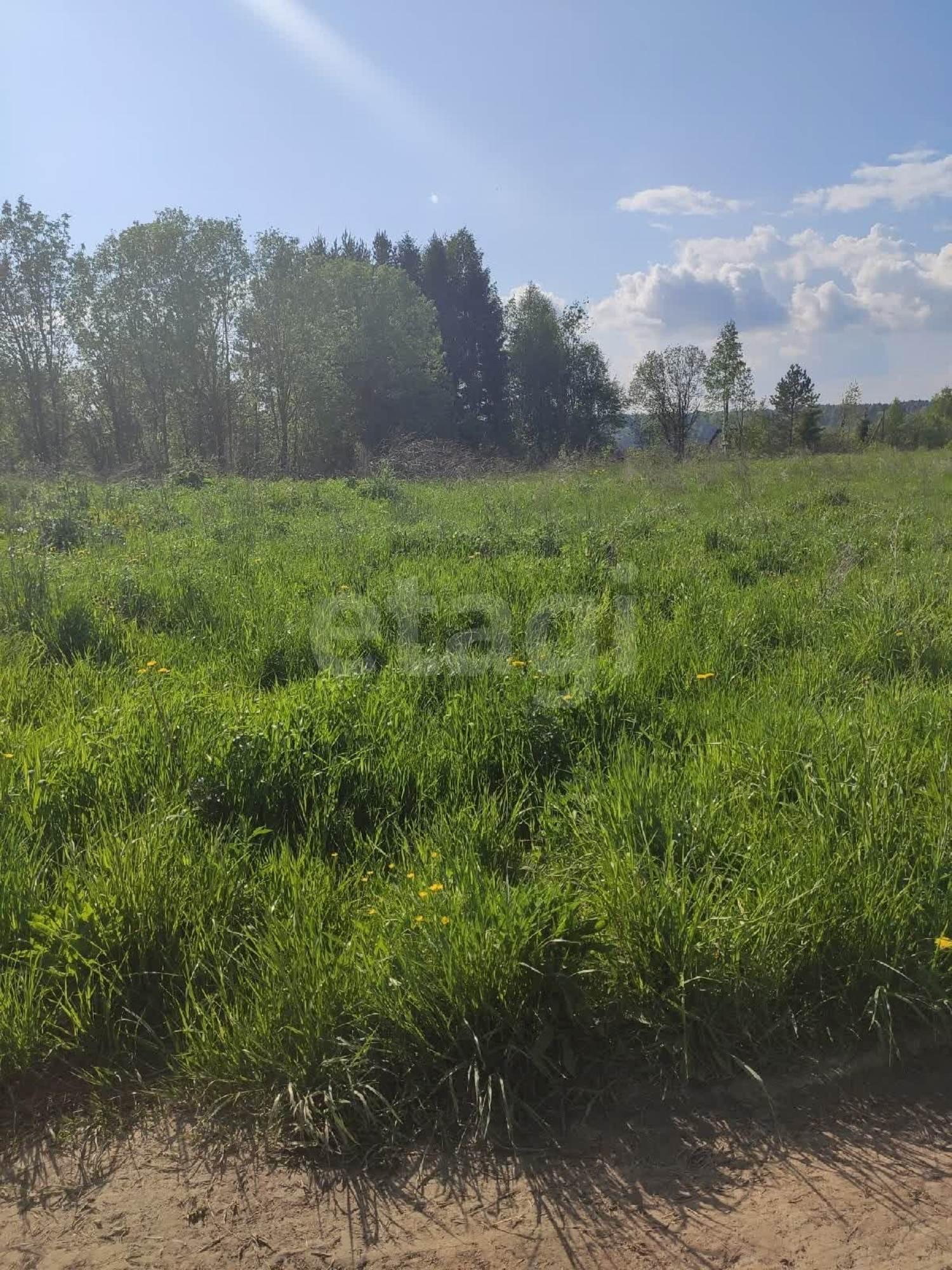 Купить землю, земельный участок за 300 000 рублей на деревня Евлашево