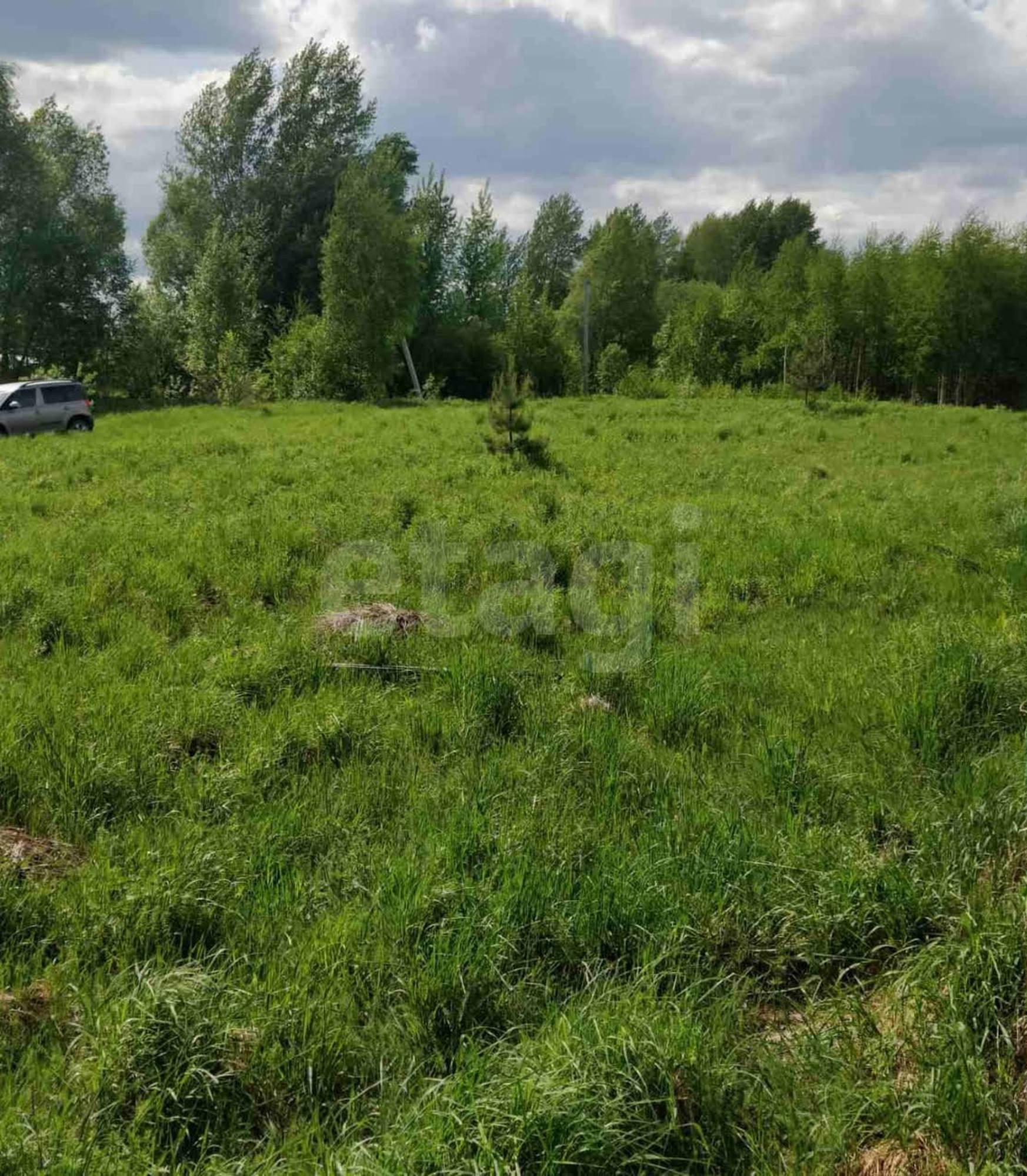 Купить землю, земельный участок за 300 000 рублей на деревня Евлашево