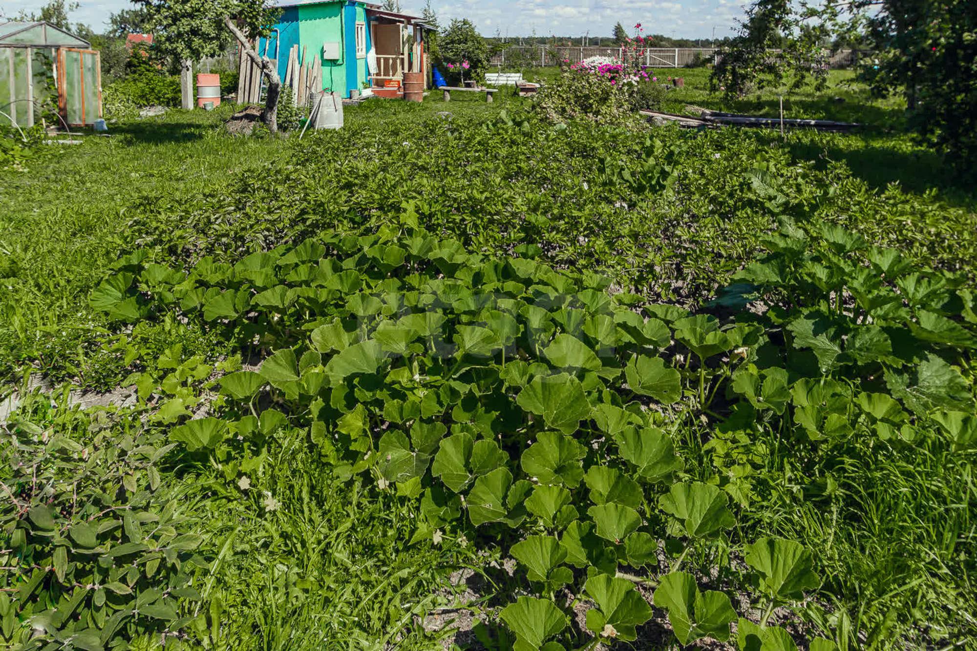 Купить дачу, дом, коттедж за 950 000 рублей на деревня Цыпоглазово