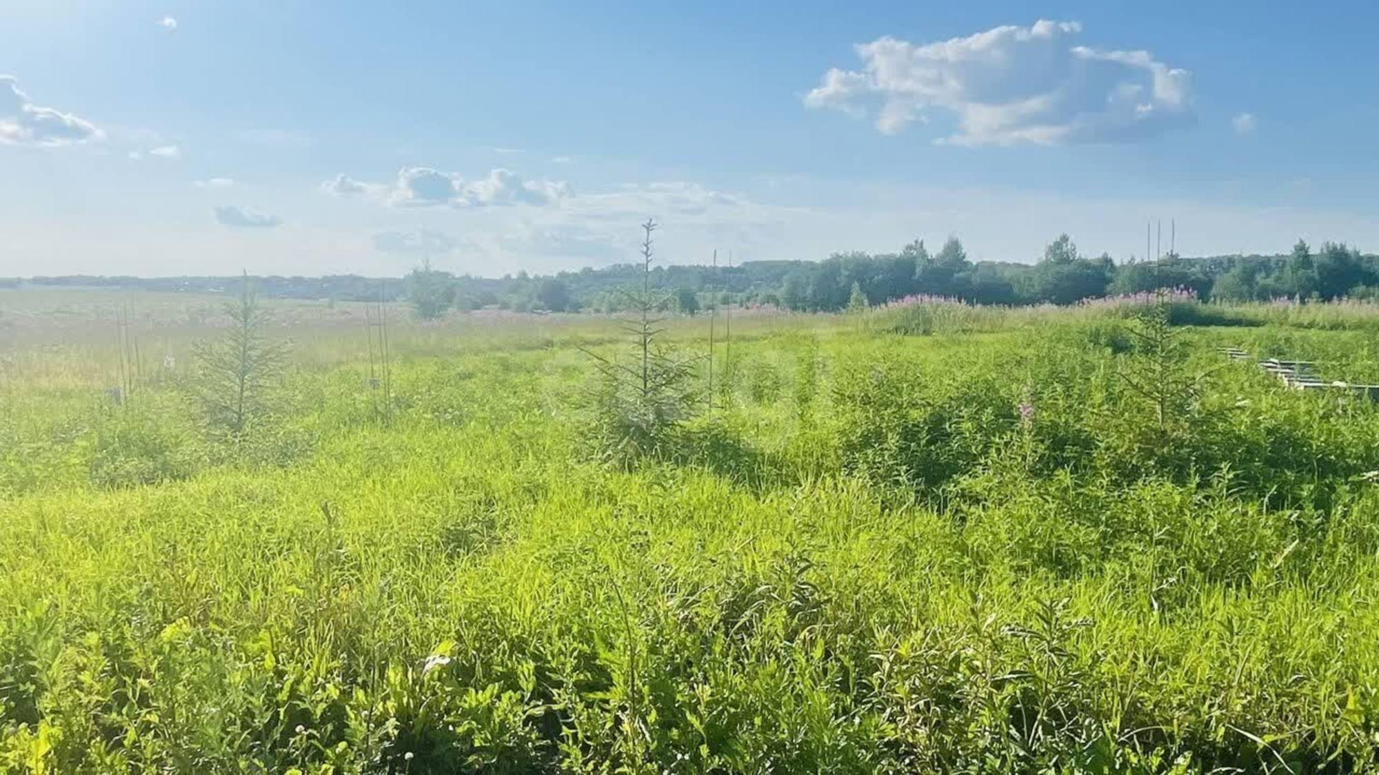 Купить землю, земельный участок за 600 000 рублей на село Первомайское
