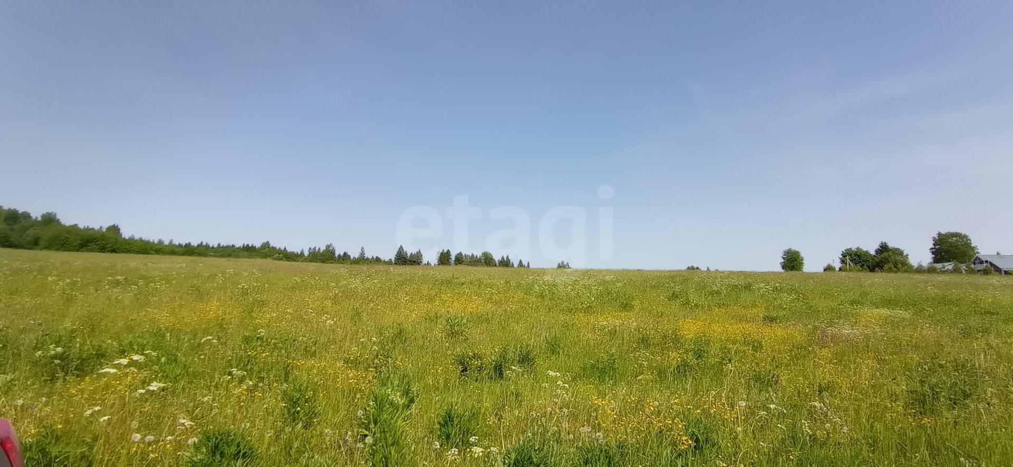 Купить землю, земельный участок за 300 000 рублей на село Погорелово