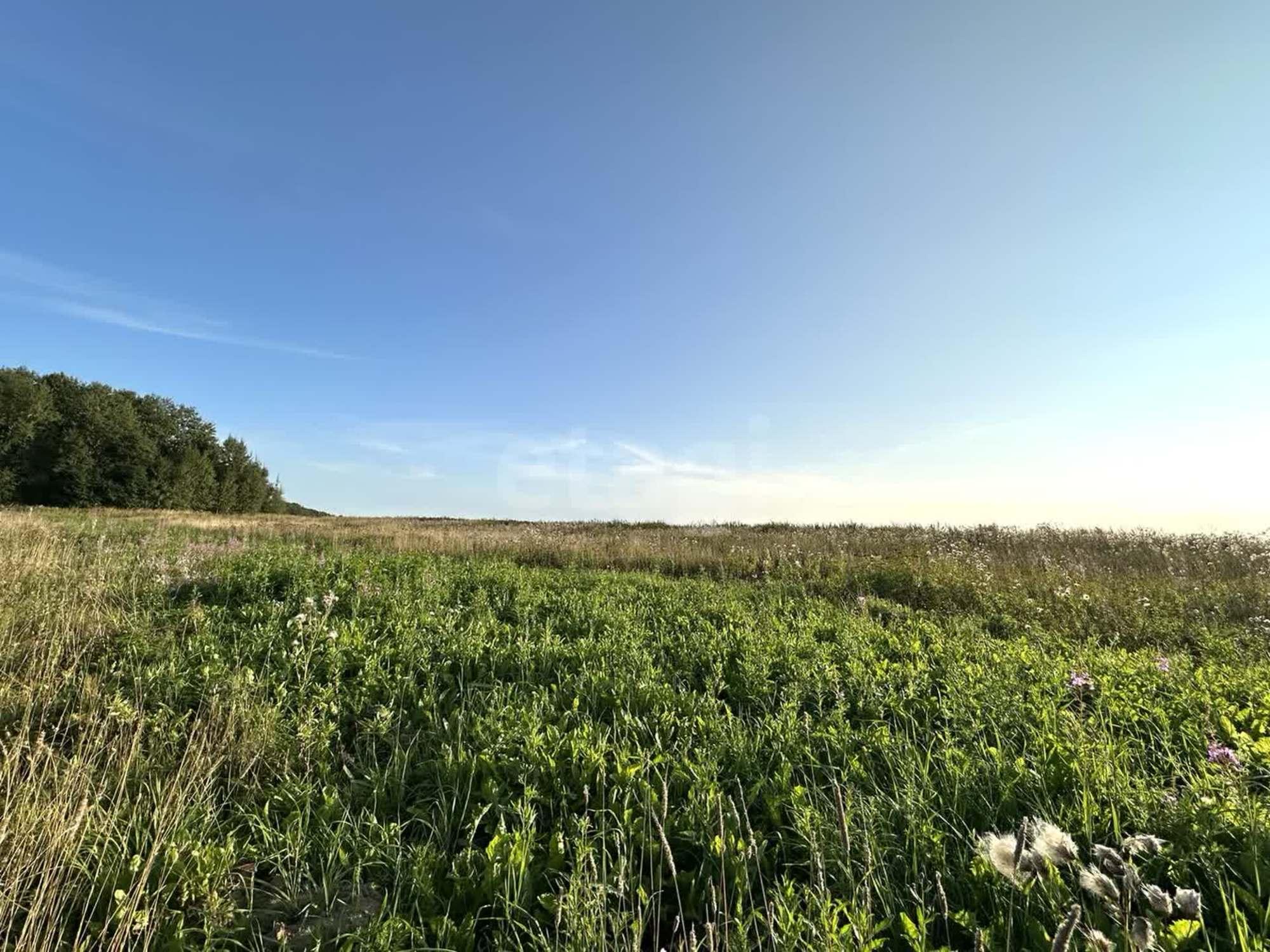 Купить землю, земельный участок за 550 000 рублей на село Первомайское