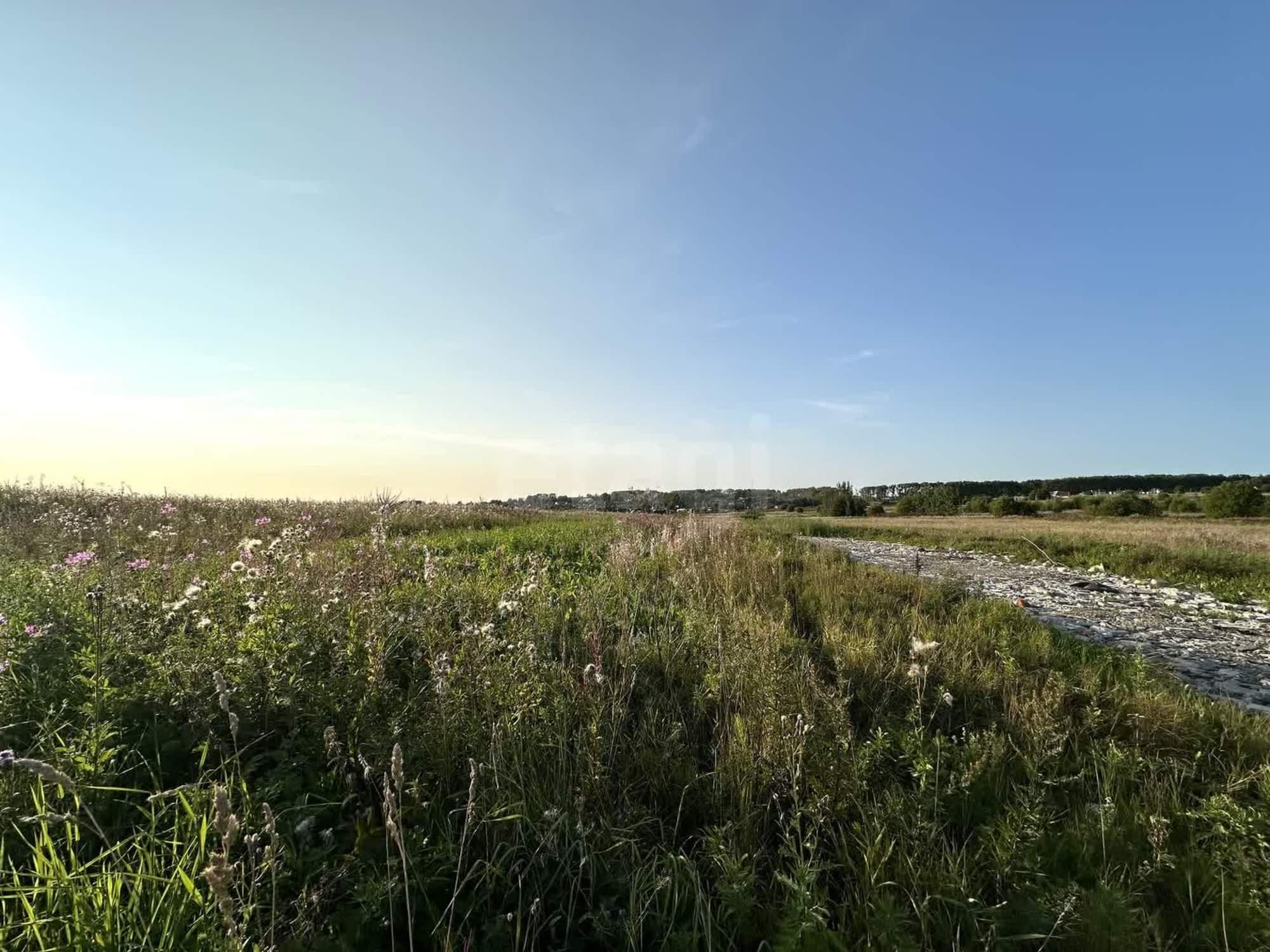 Купить землю, земельный участок за 550 000 рублей на село Первомайское
