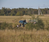 земля 10 сот деревня Долотово