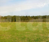 земля 470 сот деревня Дьяково