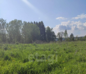 земля 12 сот деревня Евлашево