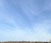 земля 17.04 сот деревня Мальгино (Подлесный сельсовет)