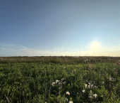 земля 8 сот село Первомайское