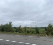 земля 20 сот посёлок Васильевское