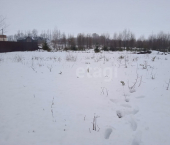 земля 14 сот посёлок Грибково