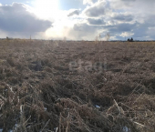 земля 15 сот посёлок Заря
