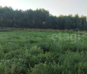 земля 21 сот Павловская улица