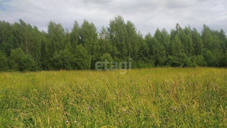Земельный участок село Никольский Торжок