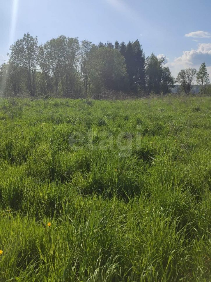 Земельный участок деревня Евлашево